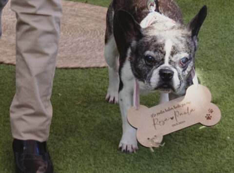porta alianzas madera hueso boda personalizado
